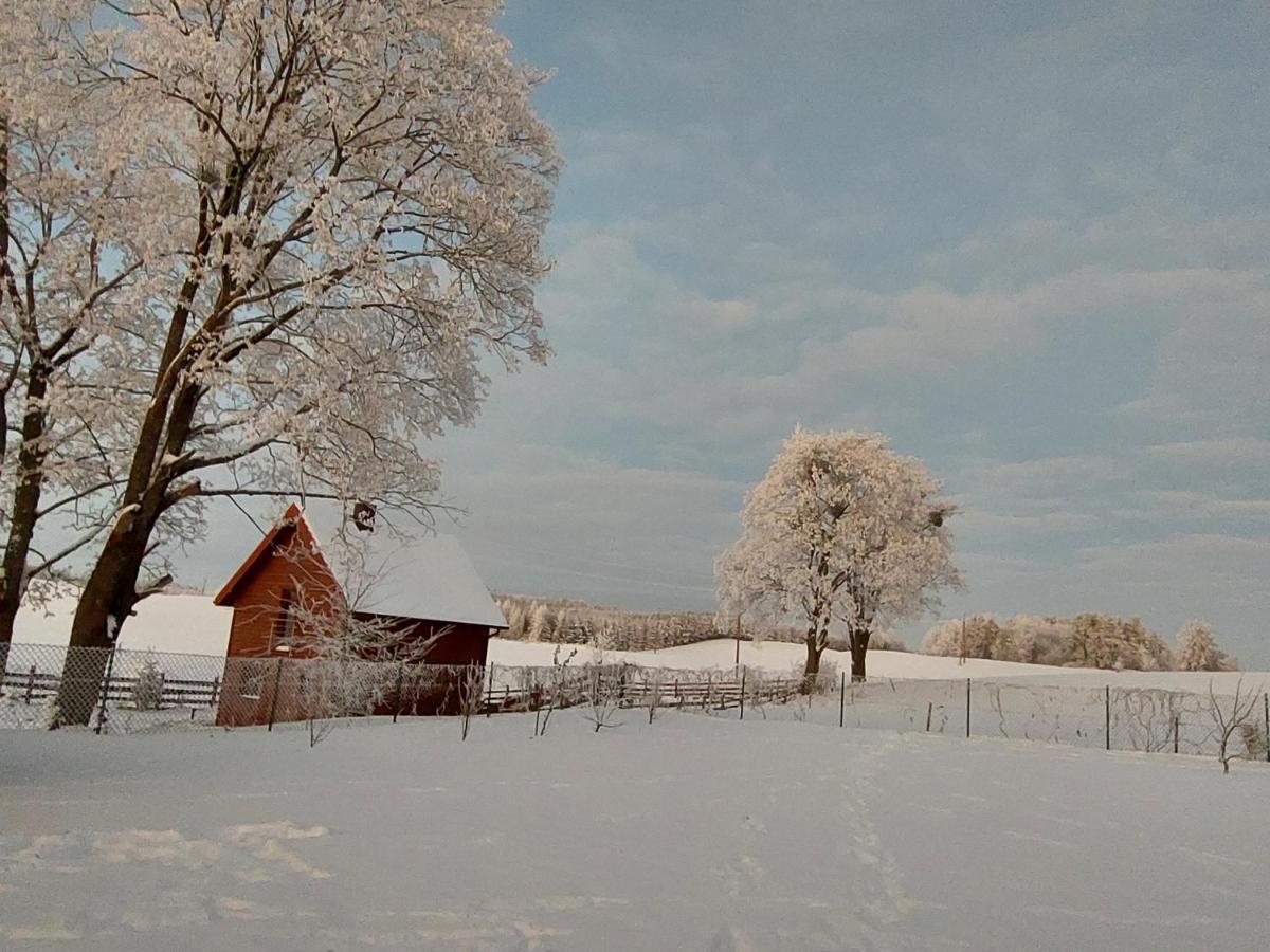 "Cztery Klony" Villa Kowale Oleckie Exteriör bild